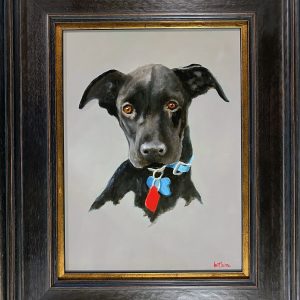 Scout - Tim Walz's Dog, by Bert Beirne